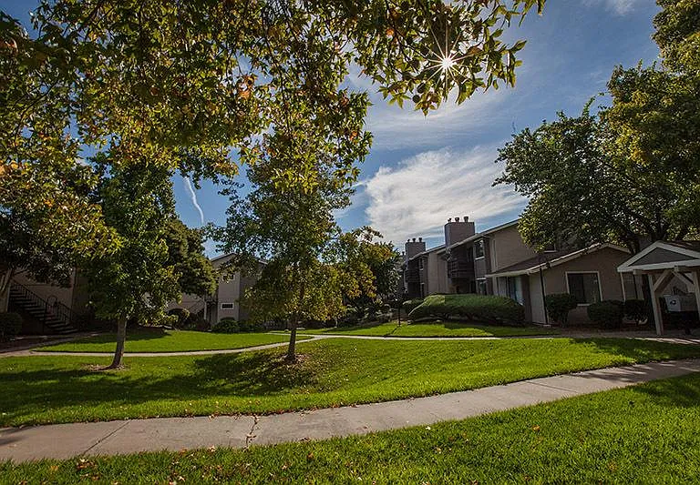 Laurel Grove — Photo 11