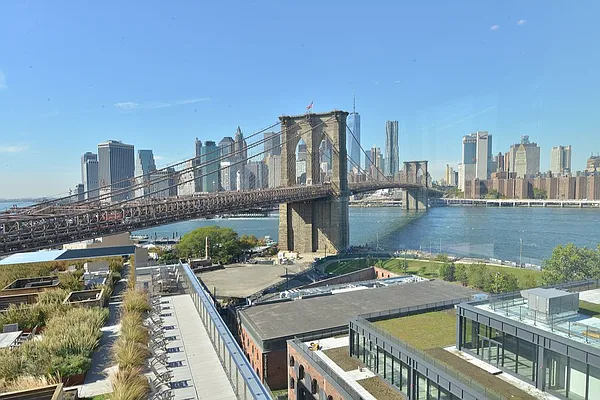 Rented by Two Trees | media 34