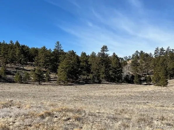 TBD Highway 9, Hartsel, CO 80449
