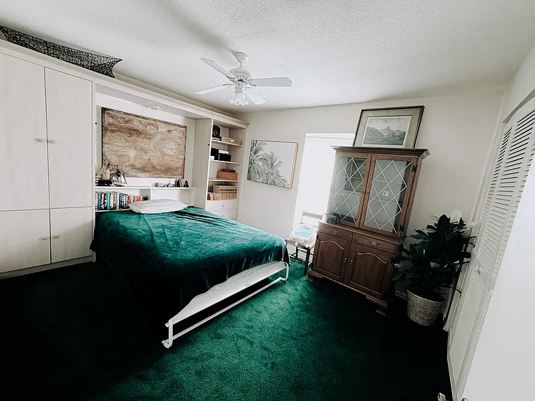 2nd bedroom with Murphy bed and built in shelving