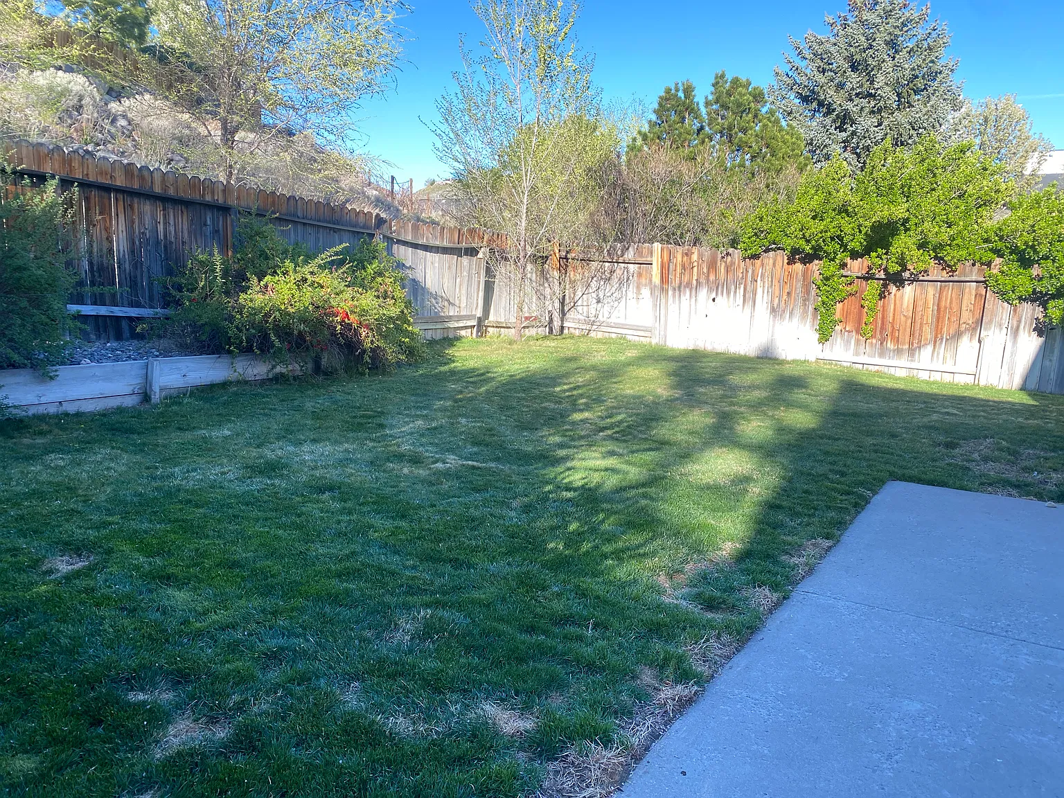 3 bed, 1218 sqft, $2,375 — Photo 2