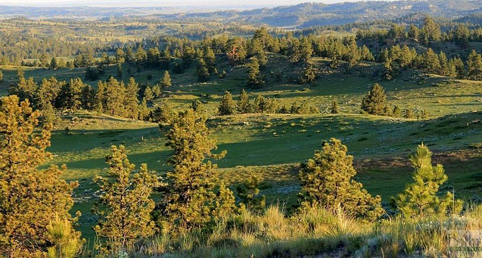 Nhn Rock Canyon Ln, Hysham, MT 59038 MLS 337317 Zillow