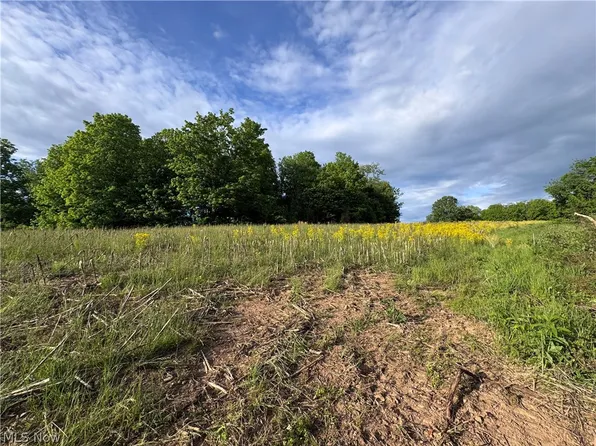 Walker Hill Rd #11, Stockport, OH 43787