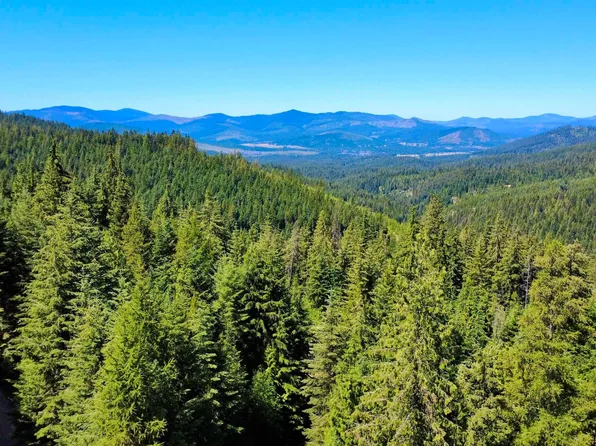 1522 Alpine Dr, Fernwood, ID 83830