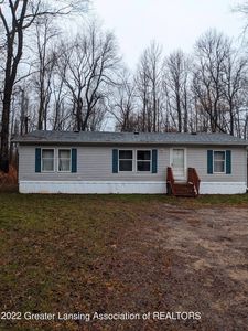 5310 Page Rd, Saranac, MI, 48881