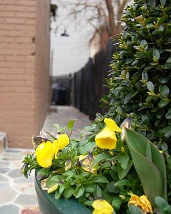 Side walkway