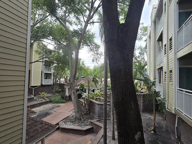 1000 W Horatio St #220 — Photo 35