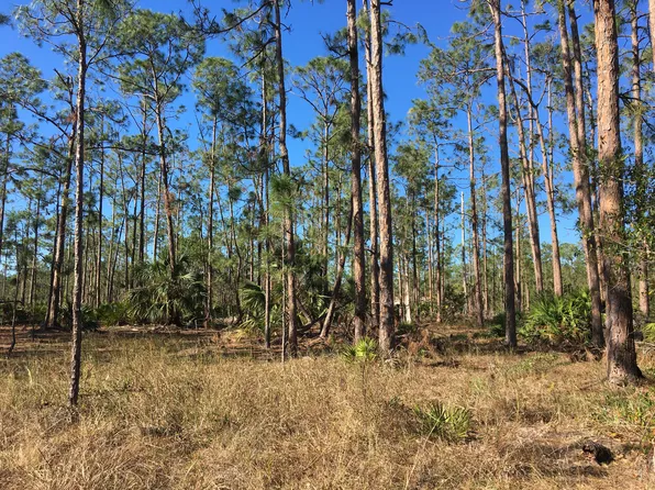 105 Moore Ave S, Lehigh Acres, FL 33936