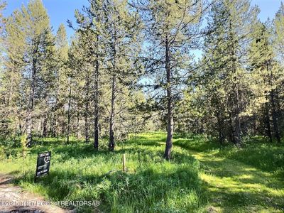 4340 Brodys Bnd, Ashton, ID, 83420