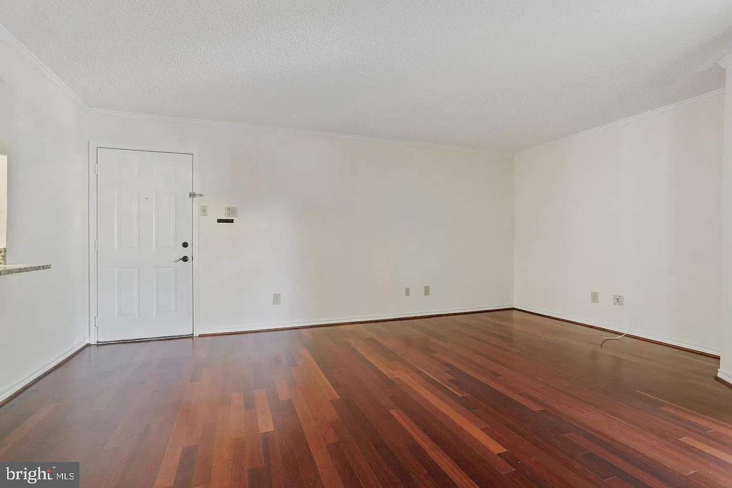 1 bed, 1.0 bath, 624 sqft, $1,900 — Photo 4