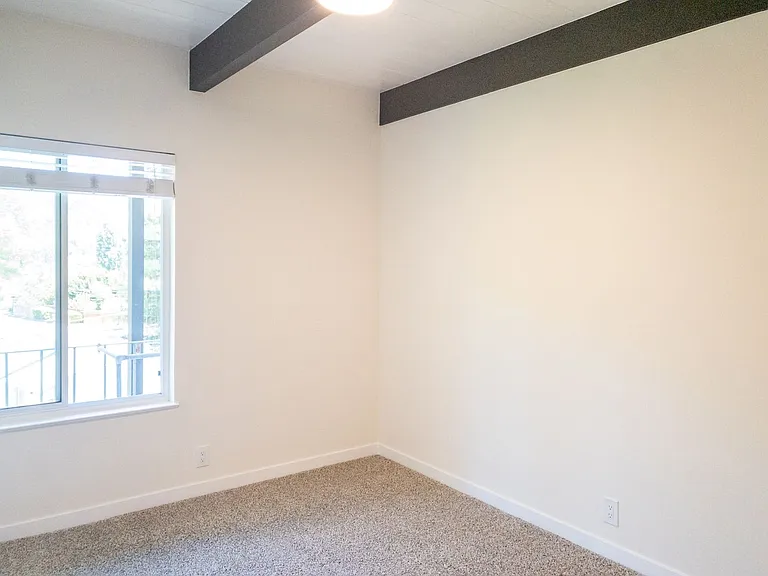 360 Jean St #5 — Photo 11