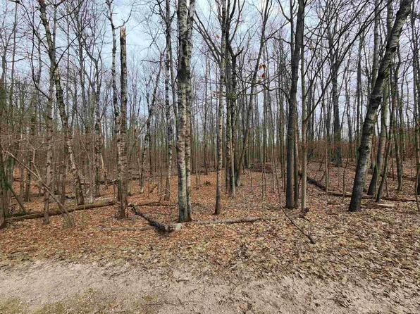 LOT 662 Laurel Ln, Farwell, MI 48622