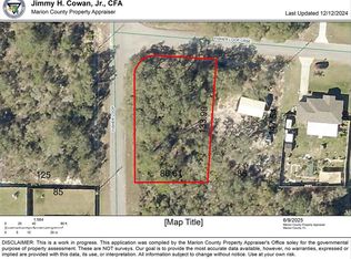 Fisher Loop Crse LOT 8, Ocklawaha, FL 32179