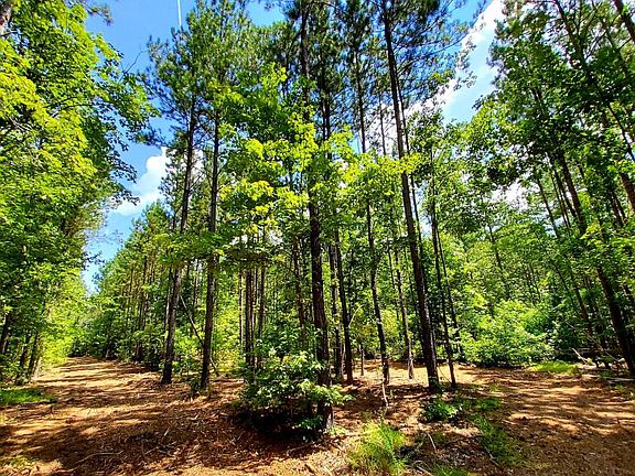 Well developed trails throughout 