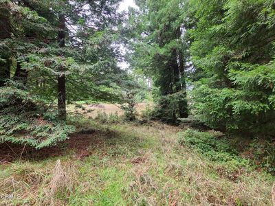 33350 Little Valley Rd, Fort Bragg, CA, 95437