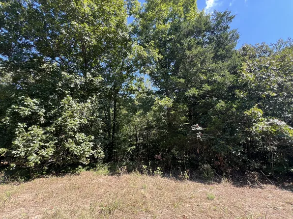 0 Piper Dr Lot 65, Bon Aqua, TN 37025