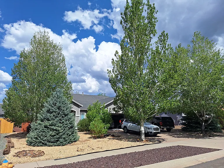 4561 Alpine Dr — Photo 3