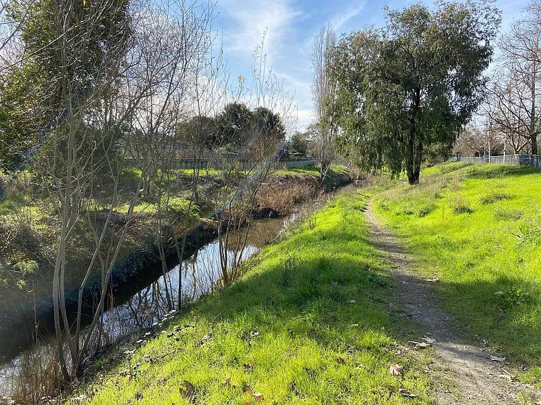 Lynch Creek....leads to Petaluma River on a great walking trail!