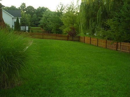 View of large, fully fenced back yard