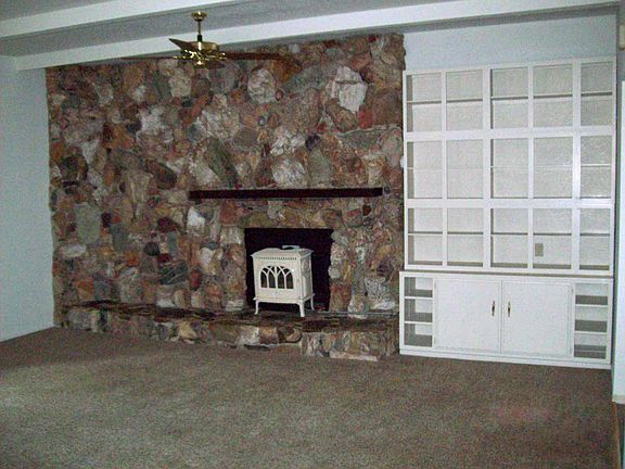 Propane Insert Stove