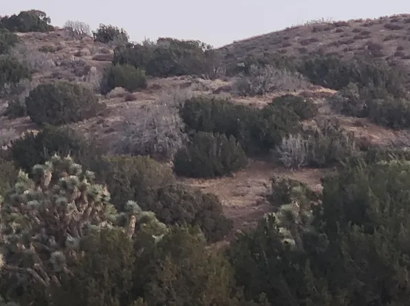 Vic Avenue Ste #F12-155, Lancaster, CA 93535