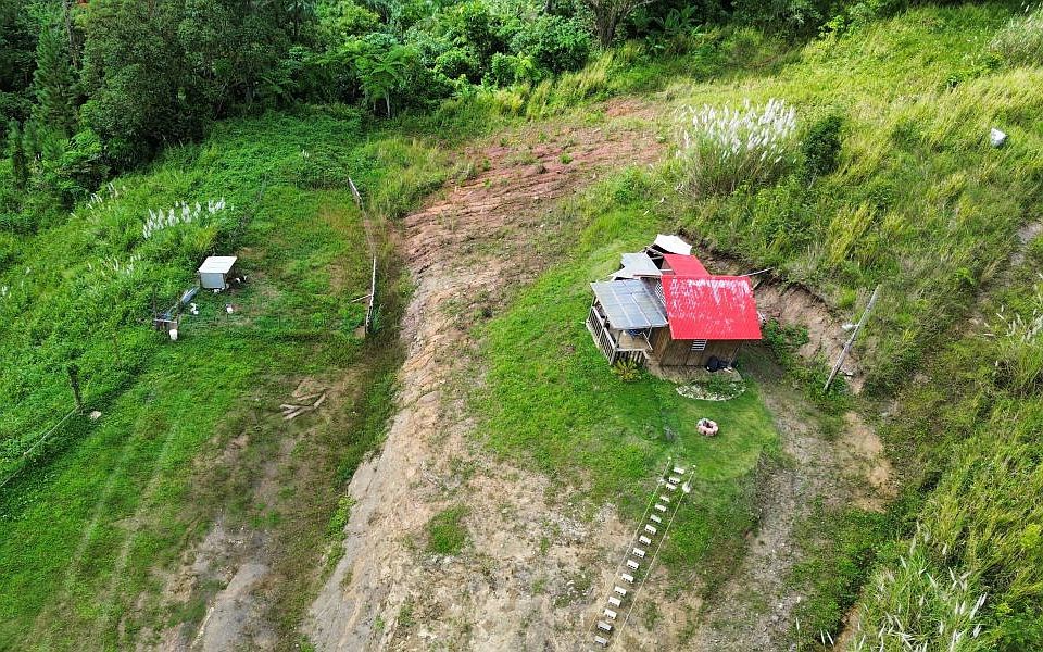 1st image of Bo Palo Hincado Carr #156