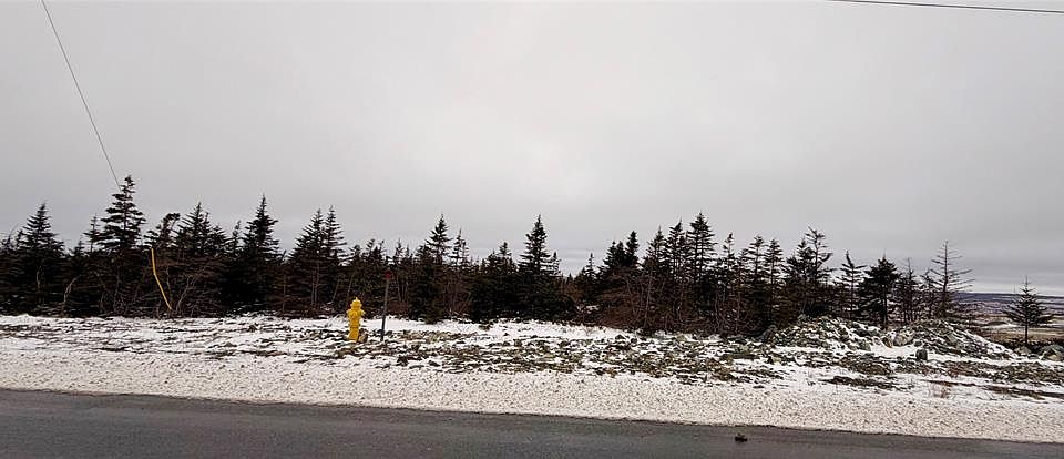 1st image of 50 Beaumont Hamel Way