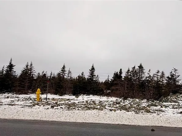 50 Beaumont Hamel Way, St John's, NL A1E1R3