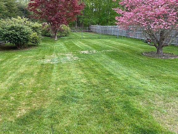 back yard