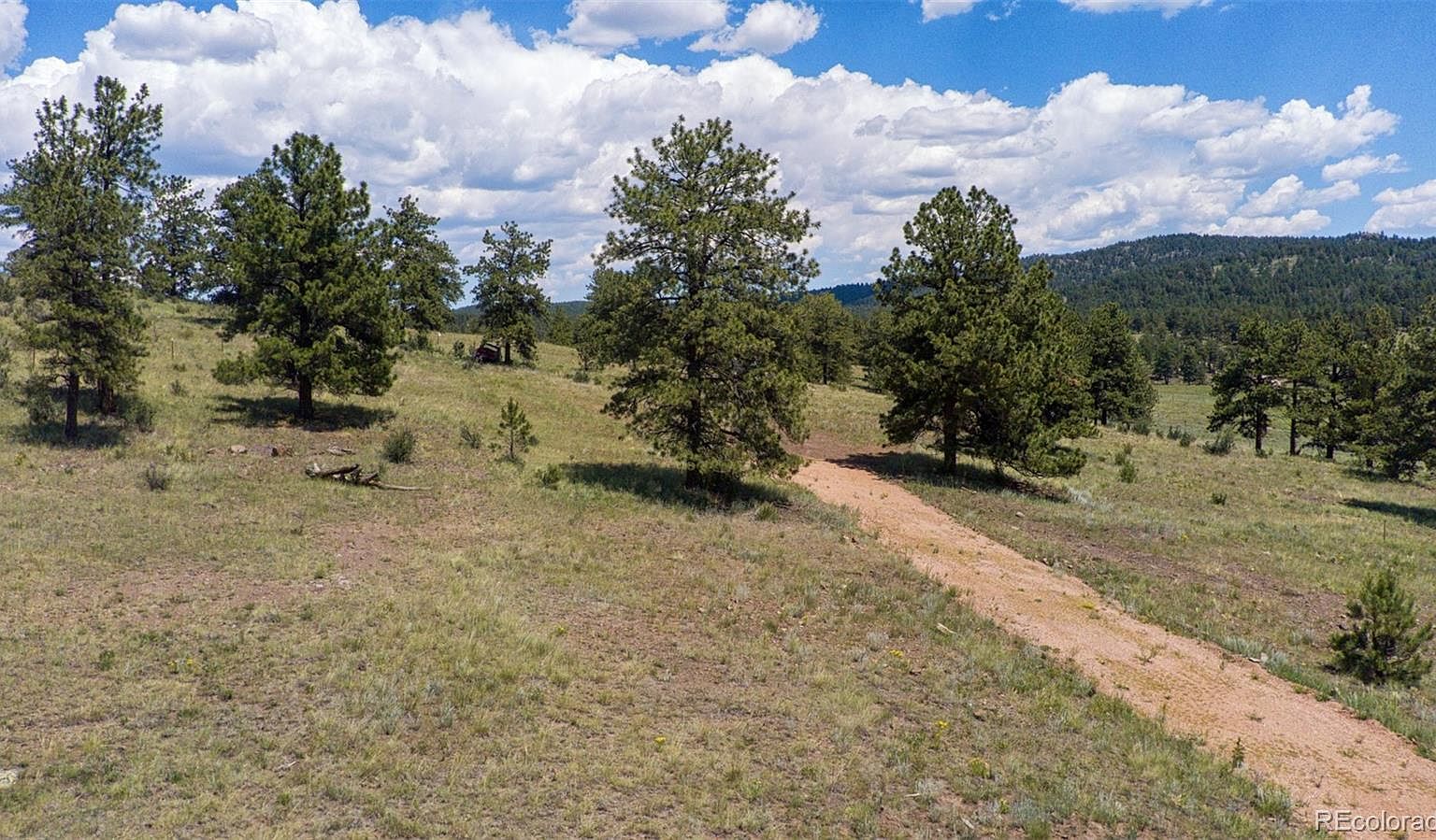 69 Park Ridge Drive, Guffey, CO 80820 Zillow