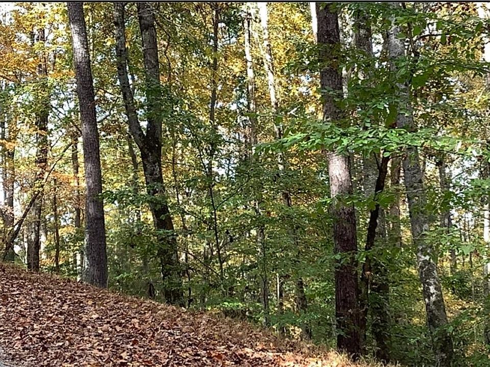 2nd image of 0 Catawba Cir #266