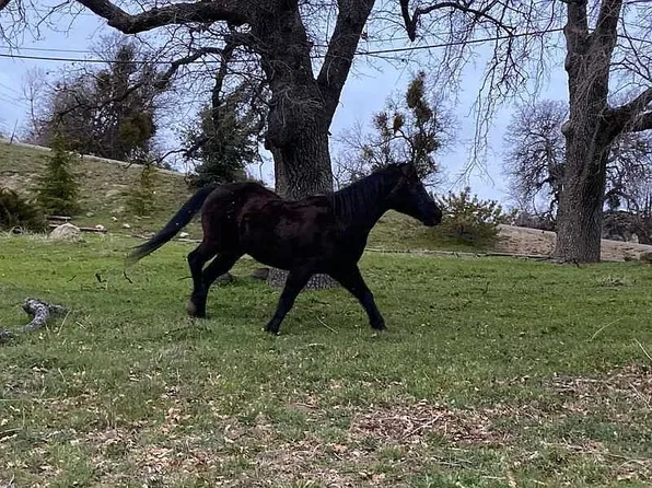 27400 Stirrup Way, Tehachapi, CA 93561