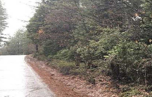 2nd image of 15379 Volcano Pioneer Rd