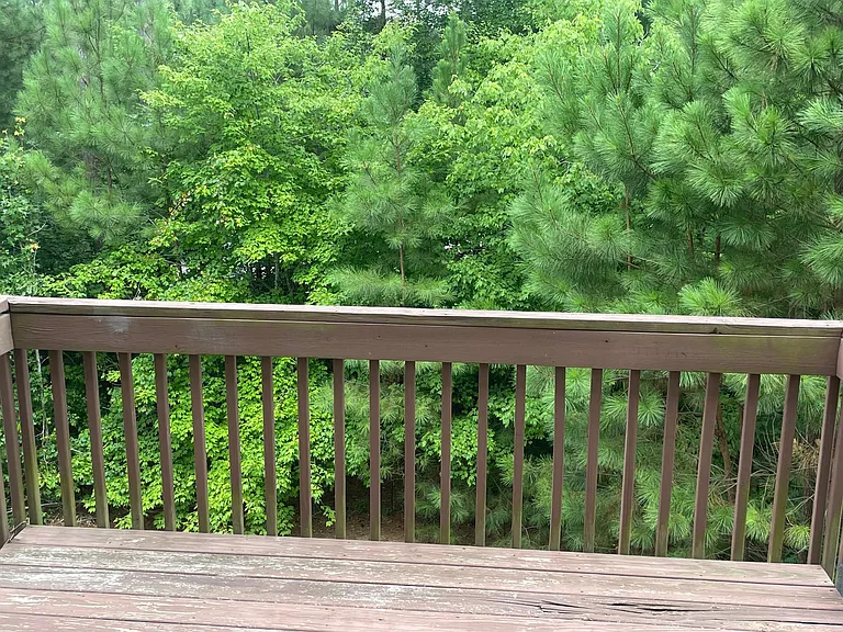 1668 Holly Grove Way — Photo 20