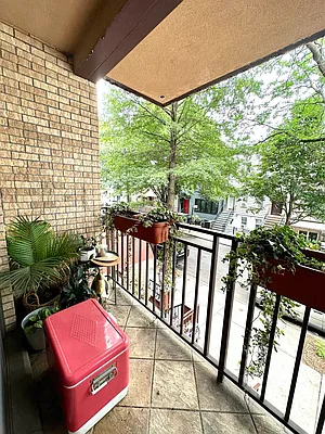 Rented by Native Real Estate LLC | media 13