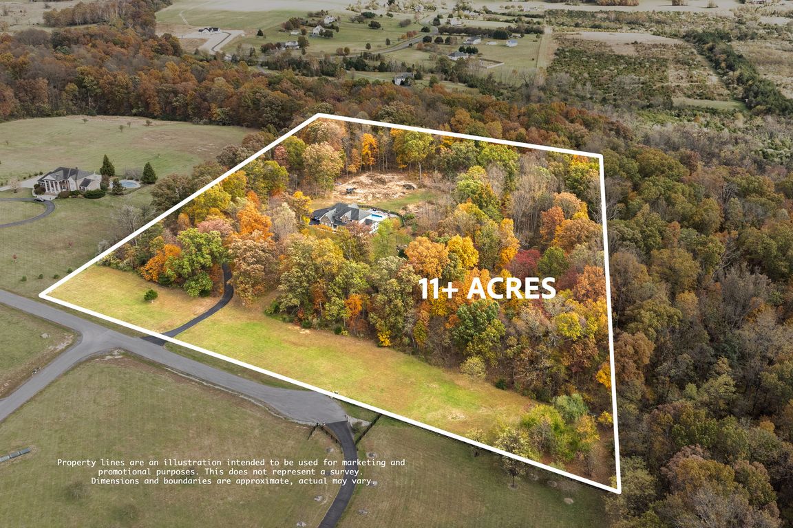 next background image