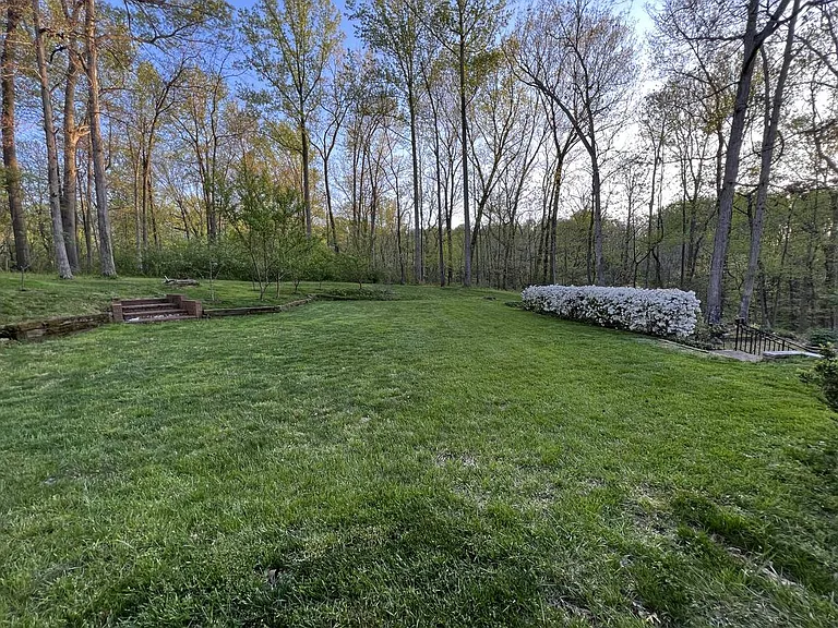 9615 Verveille Dr — Photo 2