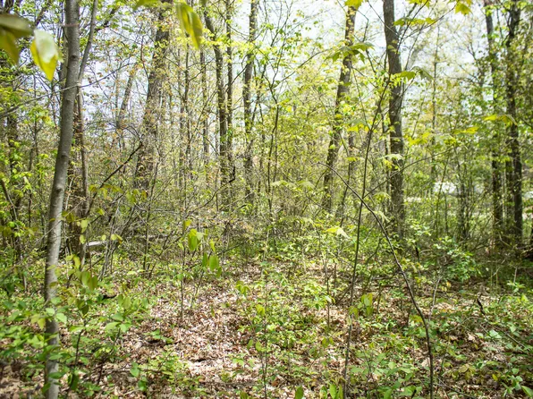 LOT 43 Honey Ln, Johannesburg, MI 49751