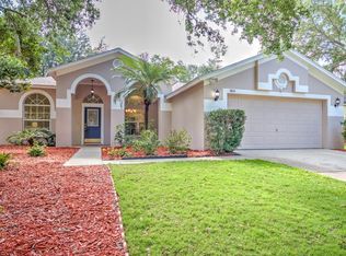 3804 Saddle Ridge St, Valrico, FL 33596