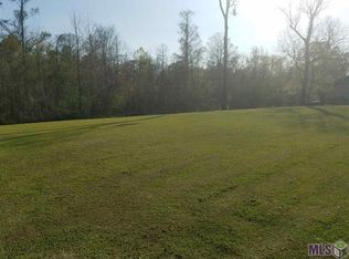 21130 Diversion Canal Rd, Maurepas, LA 70449