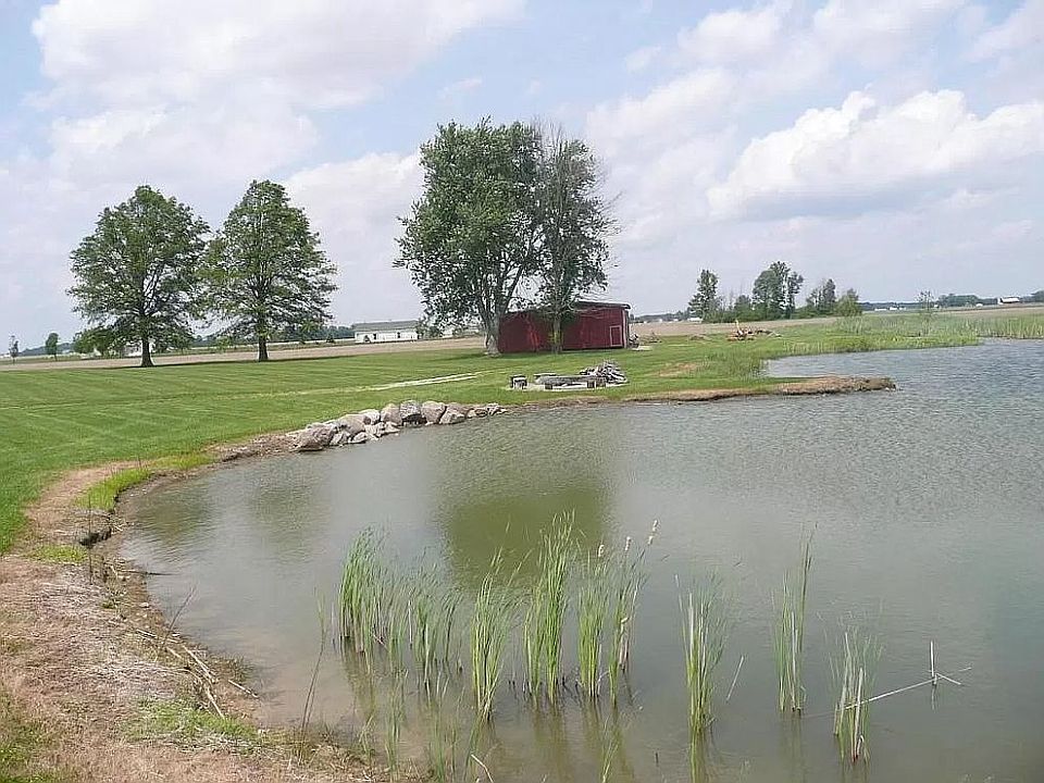 Pond