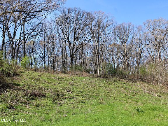 4th image of 12 Barton Desoto Rd