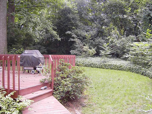 Great Sized Backyard for