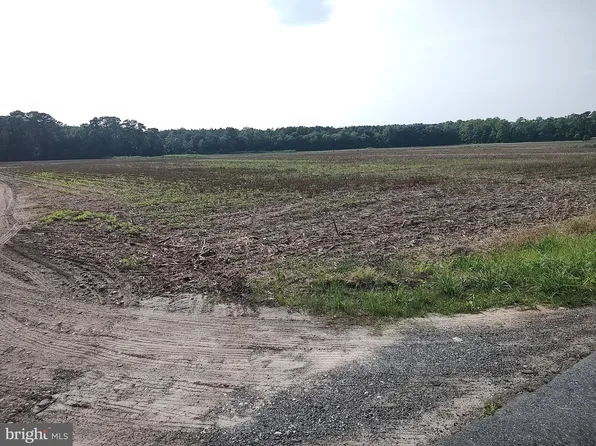 0 Rounds Rd, Pittsville, MD 21850