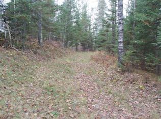 On Berry Patch Rd, Fifield, WI 54524