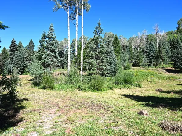 3 Canyons End #3, Chama, NM 87520