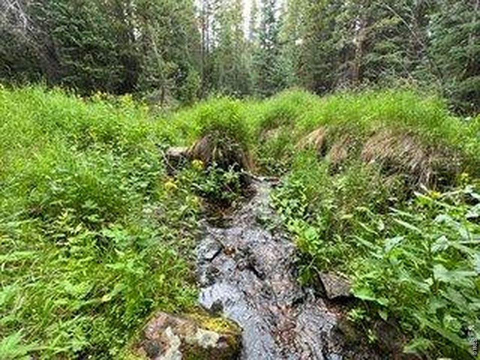 1st image of 1070 Pearl Creek Rd