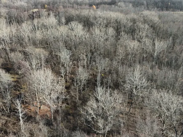 0 Lynch Rd Lot Wp002, Holley, NY 14470