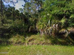571 Ocean Spray St SW, Palm Bay, FL 32908