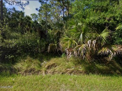 571 Ocean Spray St SW, Palm Bay, FL, 32908
